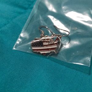 America earrings